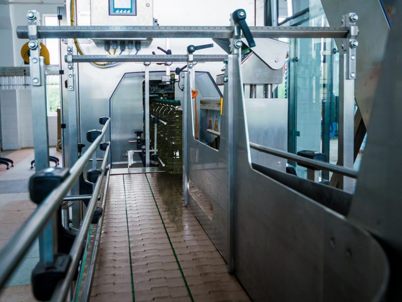 linea2-botellas-almazara-aceites-cemar